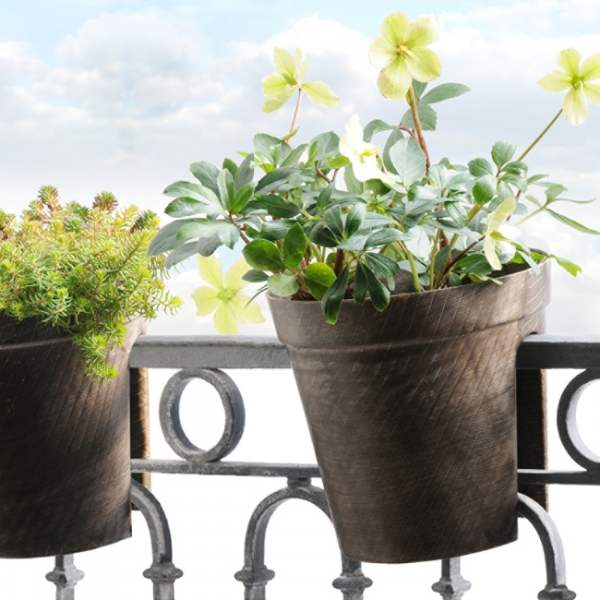 r2-pot-CAVALIER-az_mut3